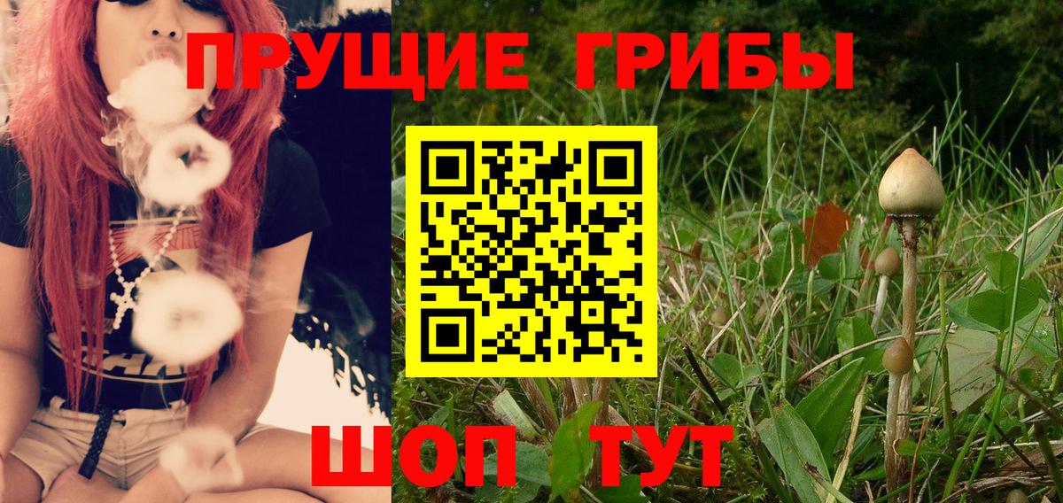 Псилоцибиновые грибы мицелий  Галлюциногенные грибы мицелий  Касимов  Вход с VPN 